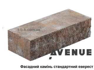 Фасадный камень Стандартный 250х100х65 Эверест Авеню